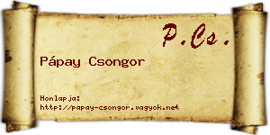 Pápay Csongor névjegykártya