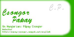 csongor papay business card