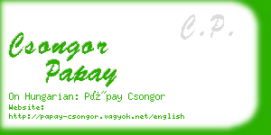 csongor papay business card